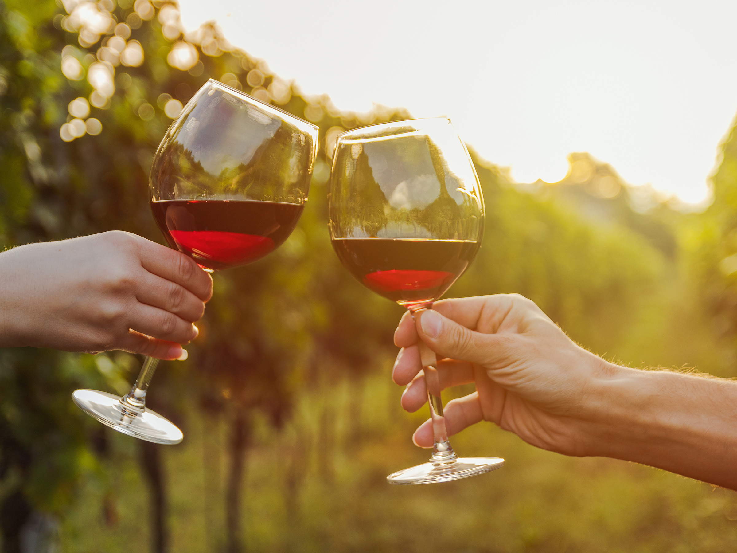 How to Plan a Worry-Free Wine or Brewery Tour